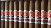 La Flor de Cano photo